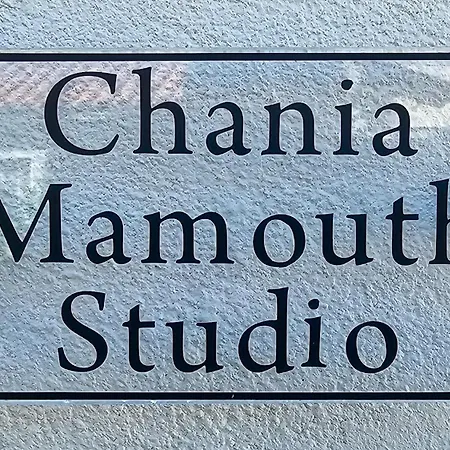 Chania Mamouth With Sea View Balcony * Χανιά